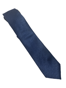 Zenio Subdued Blue Skinny Tie